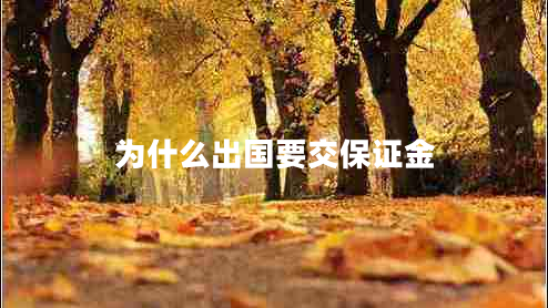 為什么出國(guó)要交保證金