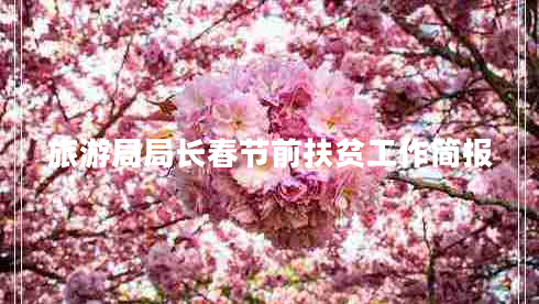 旅游局局長春節(jié)前扶貧工作簡報(bào)