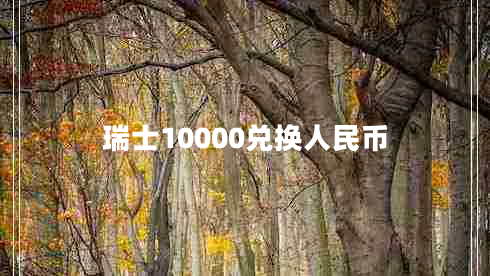 瑞士10000兌換人民幣