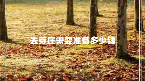 去芽莊需要準(zhǔn)備多少錢 去芽莊需要準(zhǔn)備多少錢