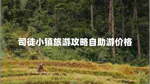 司徒小鎮(zhèn)旅游攻略自助游價(jià)格