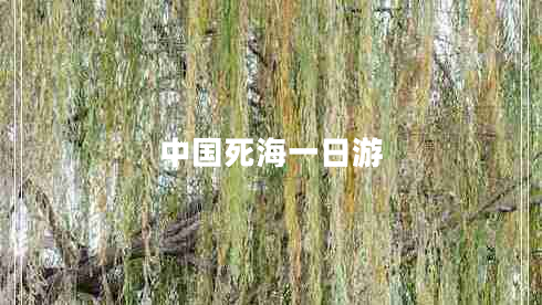 中國死海一日游 中國死海一日游