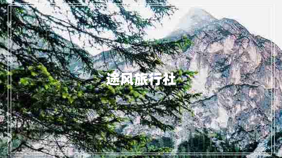 途風(fēng)旅行社