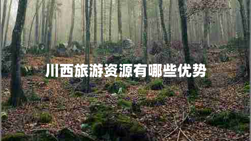 川西旅游資源有哪些優(yōu)勢