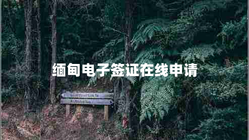 緬甸電子簽證在線申請 緬甸電子簽證在線申請