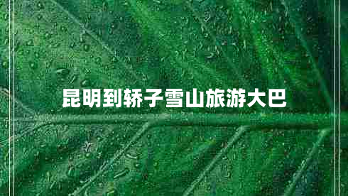 昆明到轎子雪山旅游大巴 昆明到轎子雪山旅游大巴