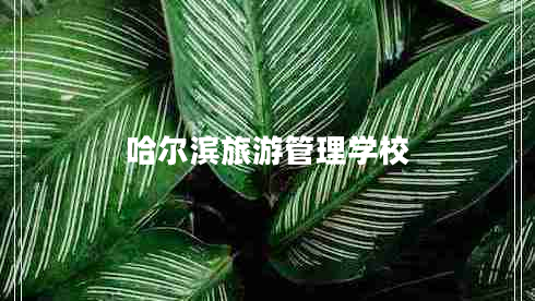 哈爾濱旅游管理學(xué)校 哈爾濱旅游管理學(xué)校