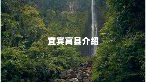 宜賓高縣介紹 宜賓高縣介紹