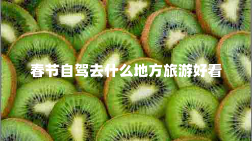 春節(jié)自駕去什么地方旅游好看