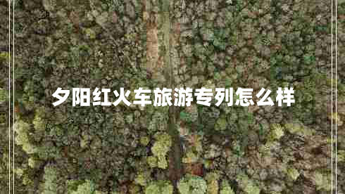 夕陽紅火車旅游專列怎么樣