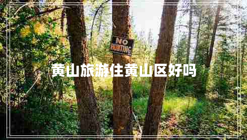 黃山旅游住黃山區(qū)好嗎