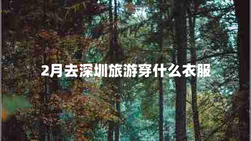 2月去深圳旅游穿什么衣服 2月去深圳旅游穿什么衣服