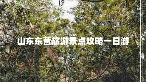 山東東營(yíng)旅游景點(diǎn)攻略一日游