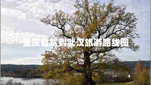 重慶自駕到武漢旅游路線圖