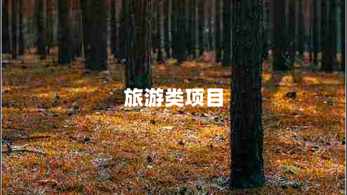 旅游類項目