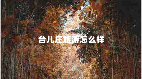 臺兒莊旅游怎么樣