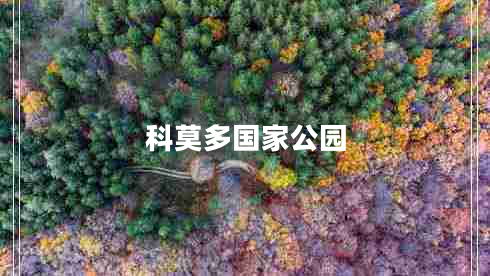 科莫多國家公園