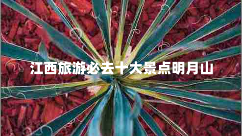 江西旅游必去十大景點(diǎn)明月山