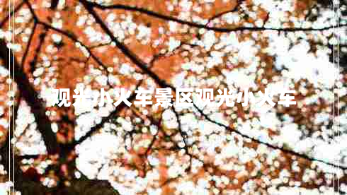 觀光小火車景區(qū)觀光小火車