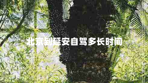 北京到延安自駕多長時間