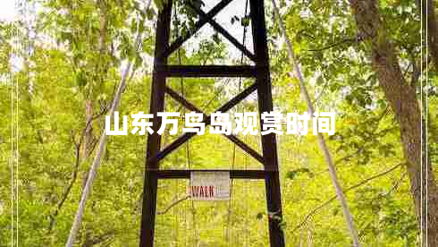 山東萬鳥島觀賞時(shí)間