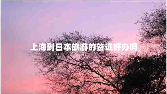 上海到日本旅游的簽證好辦嗎