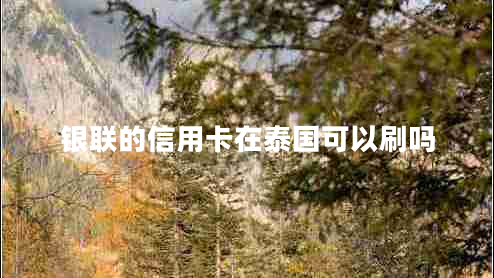 銀聯(lián)的信用卡在泰國可以刷嗎 銀聯(lián)的信用卡在泰國可以刷嗎