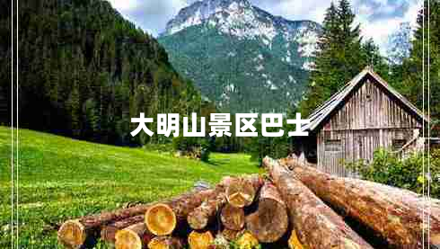 大明山景區(qū)巴士