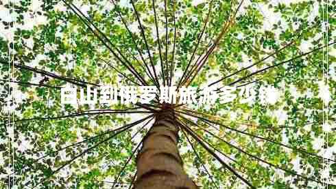 白山到俄羅斯旅游多少錢 白山到俄羅斯旅游多少錢