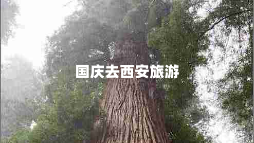 國(guó)慶去西安旅游