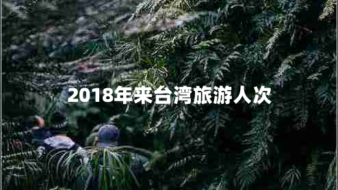 2018年來(lái)臺(tái)灣旅游人次