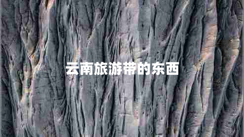 云南旅游帶的東西