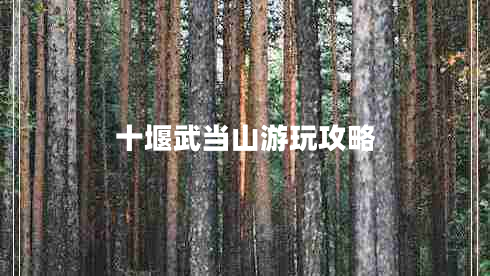 十堰武當山游玩攻略 十堰武當山游玩攻略
