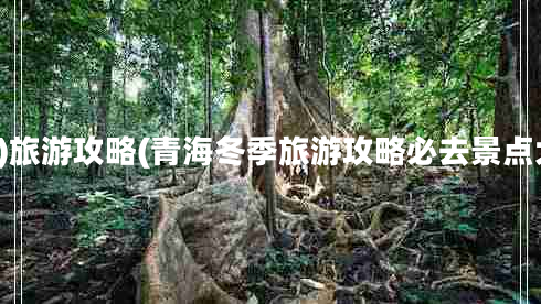 1月)旅游攻略(青海冬季旅游攻略必去景點(diǎn)大全 1月)旅游攻略(青海冬季旅游攻略必去景點(diǎn)大全