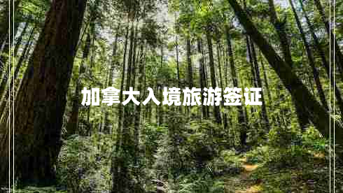 加拿大入境旅游簽證