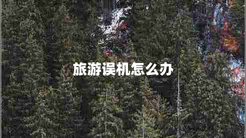 旅游誤機(jī)怎么辦