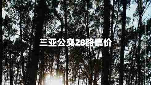三亞公交28路票價