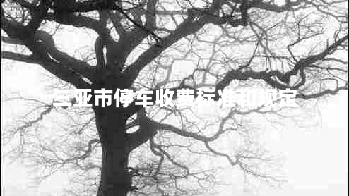 三亞市停車收費(fèi)標(biāo)準(zhǔn)和規(guī)定