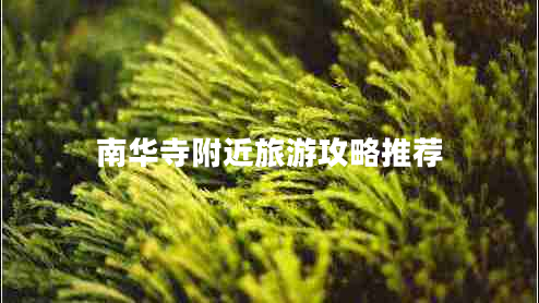 南華寺附近旅游攻略推薦