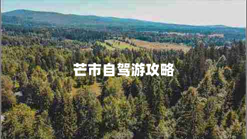 芒市自駕游攻略