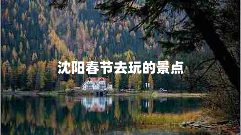 沈陽(yáng)春節(jié)去玩的景點(diǎn)