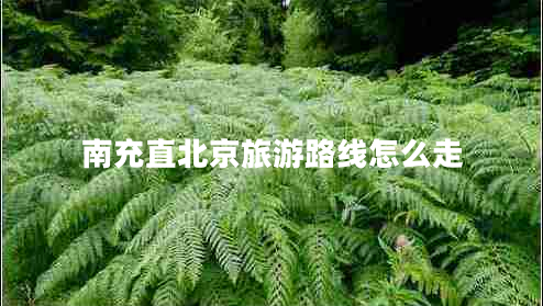 南充直北京旅游路線怎么走