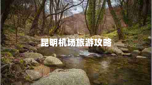 昆明機(jī)場旅游攻略 昆明機(jī)場旅游攻略