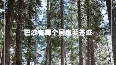 巴沙在哪個國家要簽證 巴沙在哪個國家要簽證
