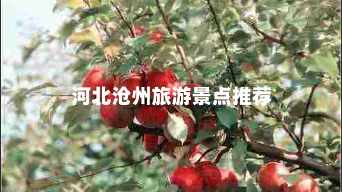 河北滄州旅游景點推薦 河北滄州旅游景點推薦