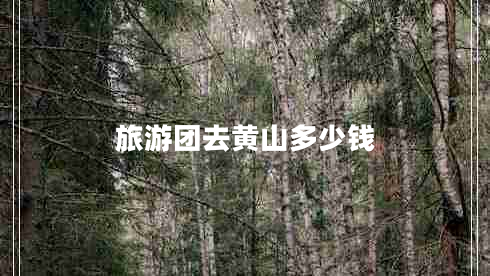 旅游團去黃山多少錢