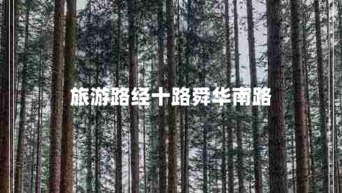 旅游路經十路舜華南路 旅游路經十路舜華南路