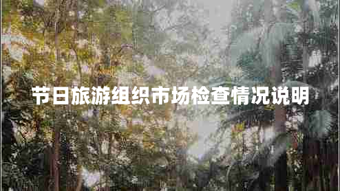 節(jié)日旅游組織市場(chǎng)檢查情況說(shuō)明