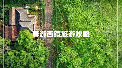 春游西藏旅游攻略