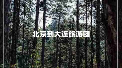 北京到大連旅游團(tuán)